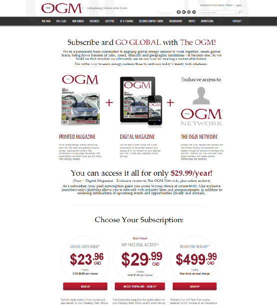 The OGM Website Design Wireframe