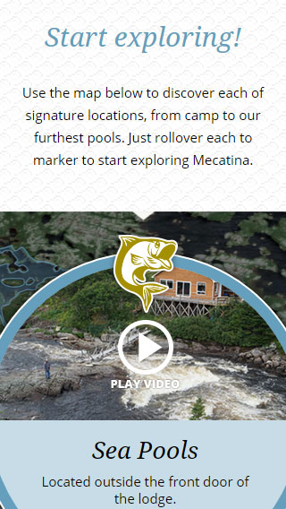 Mecatina Website
